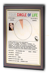 Circle of Life Document